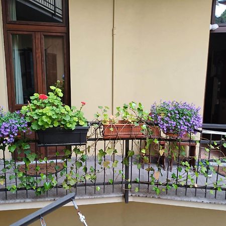 La Terrazzina, Silenzioso, Zona Piazza Gran Madre Lejlighed Torino Eksteriør billede